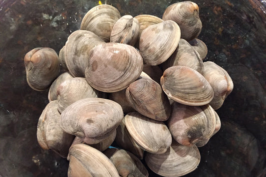 Steamed Littleneck Clams with Local Beer, Chorizo, and Parsley