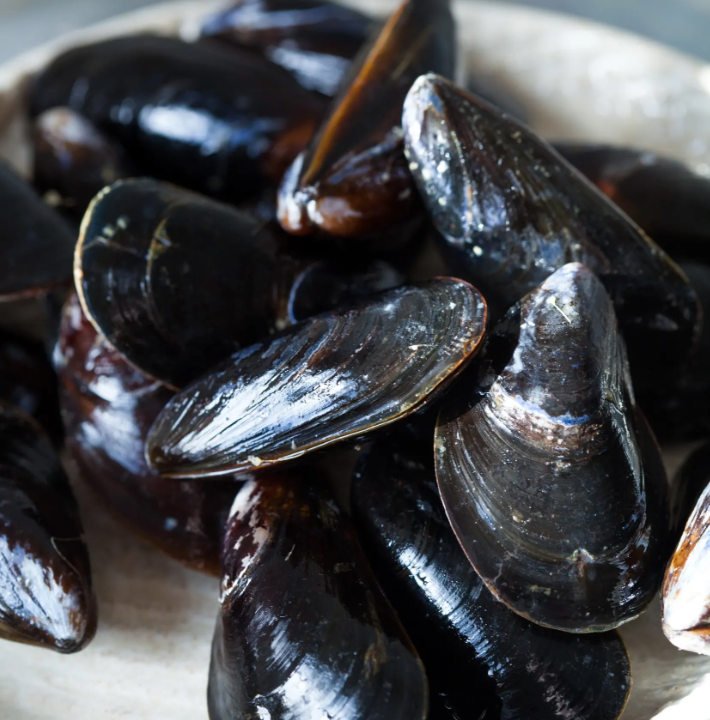 How To Cook Mussels on the Stovetop