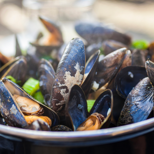 How to Store Mussels (video)