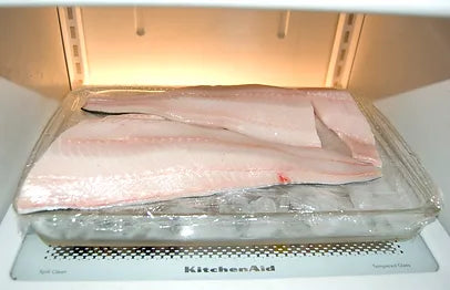 How To Store Fresh Fish: Handling Your Fish