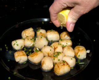 Bay Scallop Pan Roast