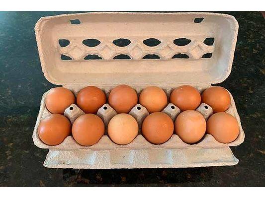 Free-Range Eggs