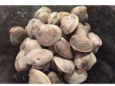 Littleneck Clams