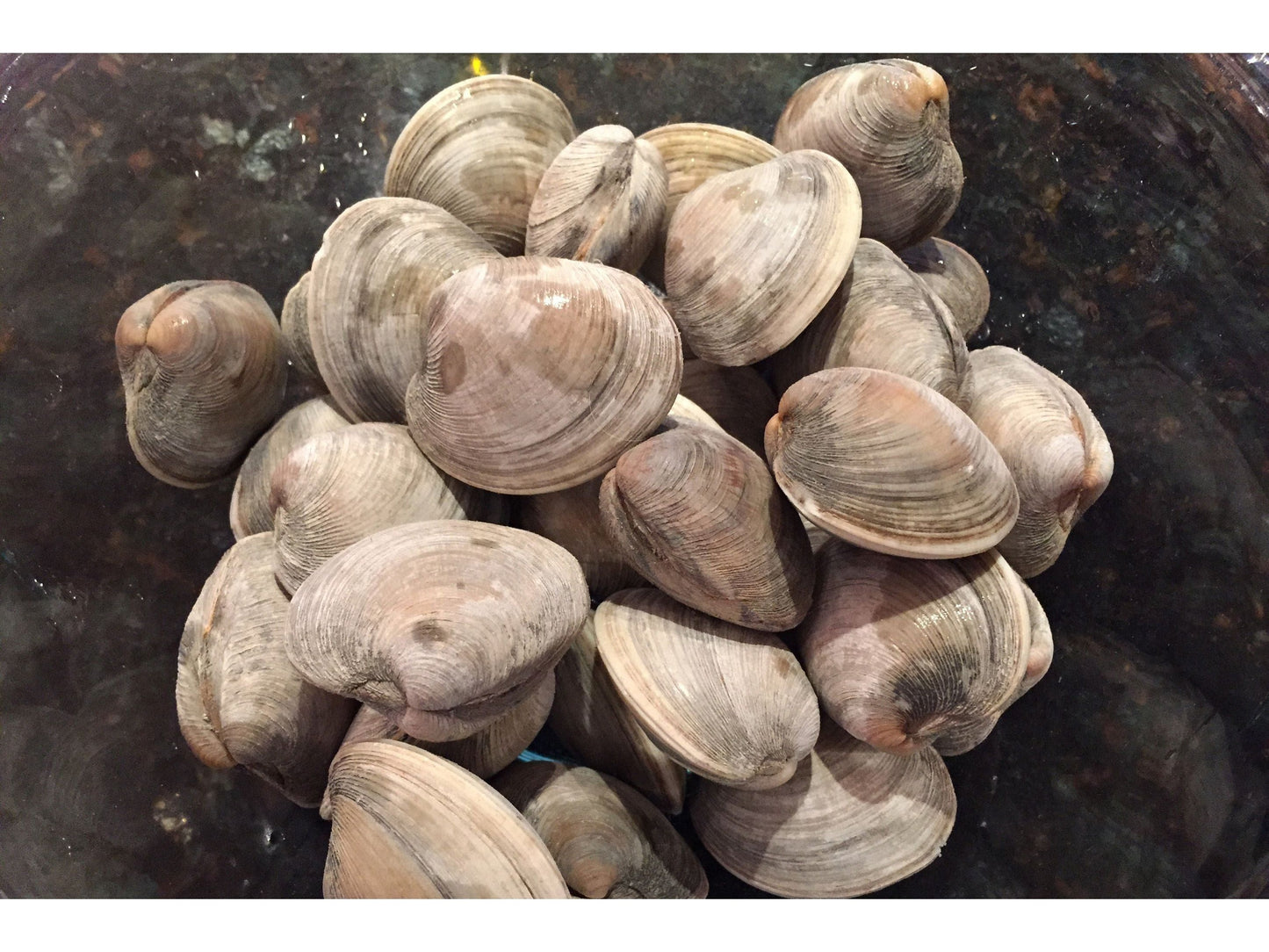 Littleneck Clams